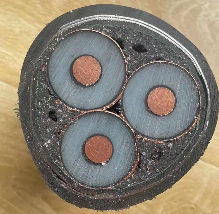 金聯(lián)宇架空絕緣電纜的使用要求和特點(diǎn)是多少 金聯(lián)宇架空絕緣電纜的使用要求和特點(diǎn)是多少